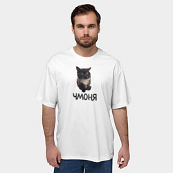 Футболка оверсайз мужская Кот чмоня, цвет: 3D-принт — фото 2