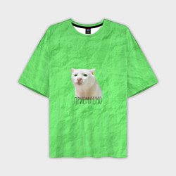 Футболка оверсайз мужская Приемлемо кот мем, цвет: 3D-принт