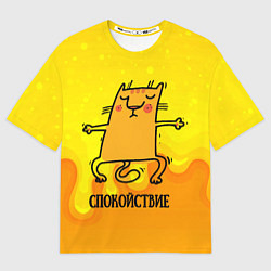 Мужская футболка оверсайз Спокойствие Спокойный кот
