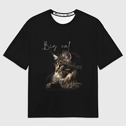 Футболка оверсайз мужская Big cat Maine Coon, цвет: 3D-принт