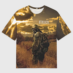 Футболка оверсайз мужская STALKER В Поле, цвет: 3D-принт
