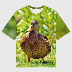 Мужская футболка оверсайз Утка Кряква