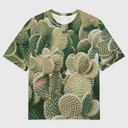 Мужская футболка оверсайз Поле кактусов