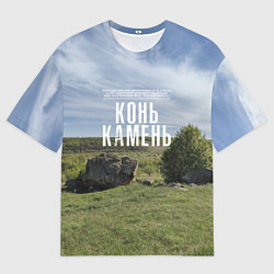 Мужская футболка оверсайз Конь-Камень на Красивой Мече