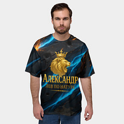 Футболка оверсайз мужская Александр лев по натуре, цвет: 3D-принт — фото 2
