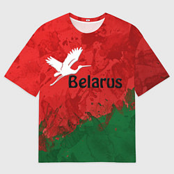 Футболка оверсайз мужская Беларусь - белый журавль, цвет: 3D-принт