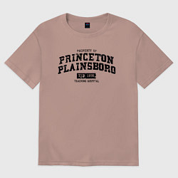 Футболка оверсайз мужская Princeton Plainsboro, цвет: пыльно-розовый