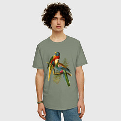 Футболка оверсайз мужская Тропические попугаи, цвет: авокадо — фото 2