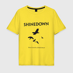 Мужская футболка оверсайз Shinedown: Sound of Madness