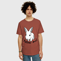 Футболка оверсайз мужская Rabbit: follow me, цвет: кирпичный — фото 2