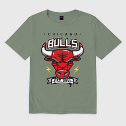 Футболка оверсайз мужская Chicago Bulls est. 1966, цвет: авокадо