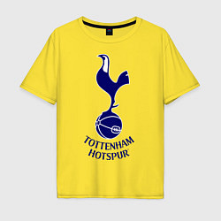 Футболка оверсайз мужская Tottenham FC, цвет: желтый
