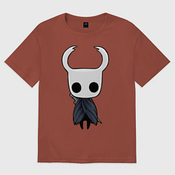 Мужская футболка оверсайз Hollow Knight