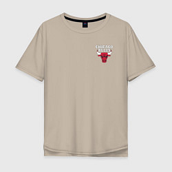 Футболка оверсайз мужская CHICAGO BULLS, цвет: миндальный