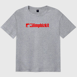 Футболка оверсайз мужская LIMP BIZKIT, цвет: меланж