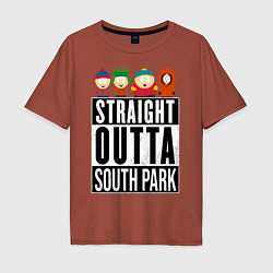 Футболка оверсайз мужская SOUTH PARK, цвет: кирпичный