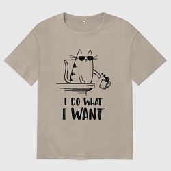 Мужская футболка оверсайз I do what i want