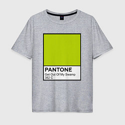 Мужская футболка оверсайз Shrek: Pantone Color