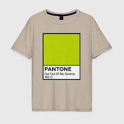 Футболка оверсайз мужская Shrek: Pantone Color, цвет: миндальный