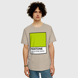 Футболка оверсайз мужская Shrek: Pantone Color, цвет: миндальный — фото 2