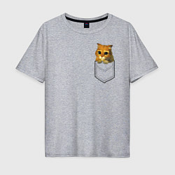 Мужская футболка оверсайз Шрек: Кот в кармане