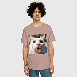 Футболка оверсайз мужская Мем про кота, цвет: пыльно-розовый — фото 2