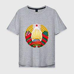 Футболка оверсайз мужская Белоруссия Герб Белоруссии, цвет: меланж