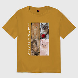 Мужская футболка оверсайз I LOVE CATS Я ЛЮБЛЮ КОШЕК