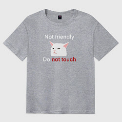 Футболка оверсайз мужская Not friendly, do not touch, текст с мемным котом, цвет: меланж