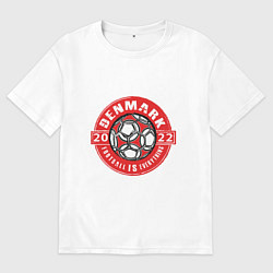 Мужская футболка оверсайз Denmark 2022