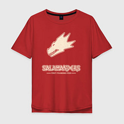 Футболка оверсайз мужская Саламандры лого винтаж, цвет: красный