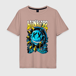 Мужская футболка оверсайз Blink 182 - 20 years