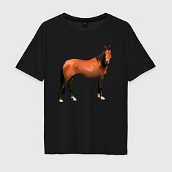 Футболка оверсайз мужская Теплокровная лошадка, цвет: черный