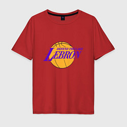 Мужская футболка оверсайз Defend the lake Lebron