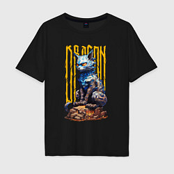 Мужская футболка оверсайз Dragoncat