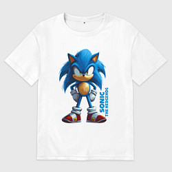 Мужская футболка оверсайз Sonic - poster style