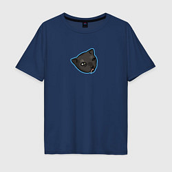 Мужская футболка оверсайз Сонный котик