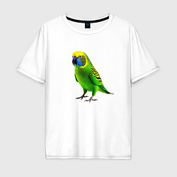 Футболка оверсайз мужская Зеленый попугай, цвет: белый