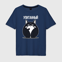 Мужская футболка оверсайз Упитанный кот