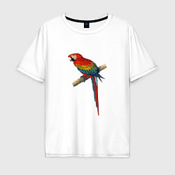Мужская футболка оверсайз Попугай ara macaw