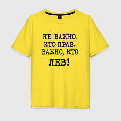 Мужская футболка оверсайз Не важно кто прав, главное кто лев - каламбурный ю