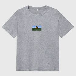 Футболка оверсайз мужская Да ты че мем майнкрафт, цвет: меланж