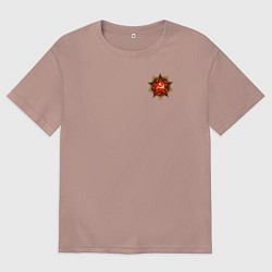 Мужская футболка оверсайз Значок серп и молот