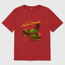 Мужская футболка оверсайз Visit Twin Peaks