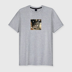 Футболка slim-fit Серая кошка для пары, цвет: меланж