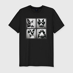 Футболка slim-fit Кролик в фотобудке, цвет: черный