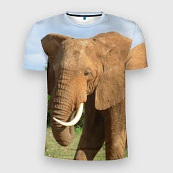 Мужская спорт-футболка Рыжий слон