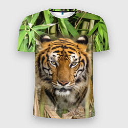 Футболка спортивная мужская Матёрый тигр в зарослях бамбука, цвет: 3D-принт