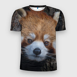 Мужская спорт-футболка Крaсная панда