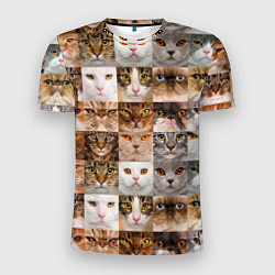 Футболка спортивная мужская Pedigreed cats, цвет: 3D-принт